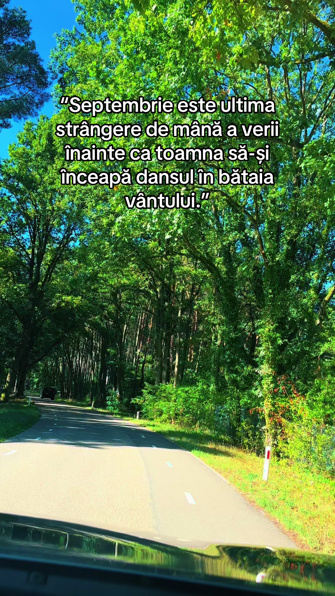 @Alina