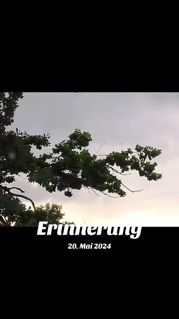 @Torsten 🇩🇪