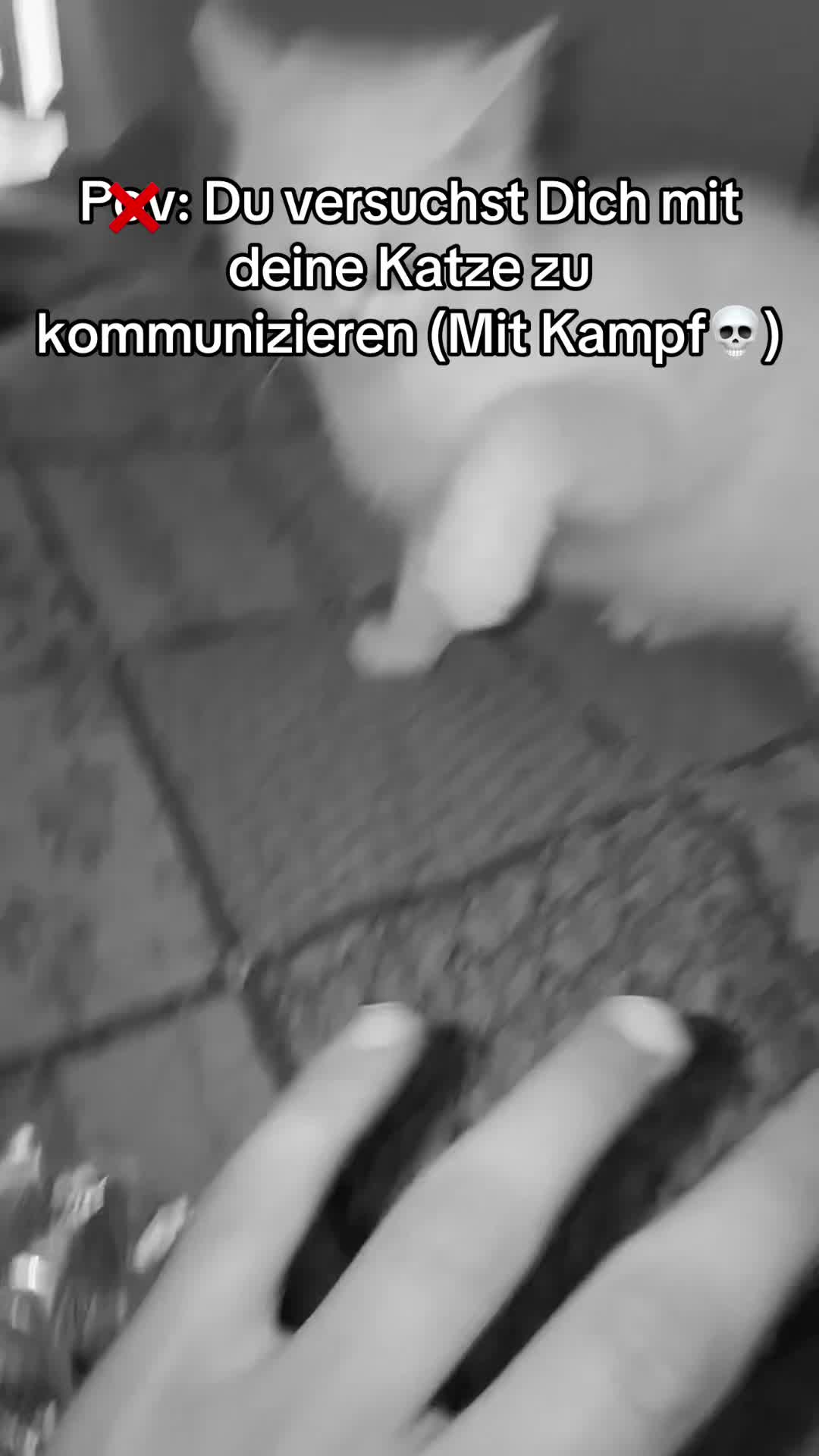 @Mohamed🦅