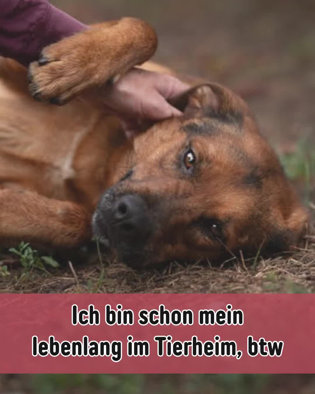 @Petch.Community