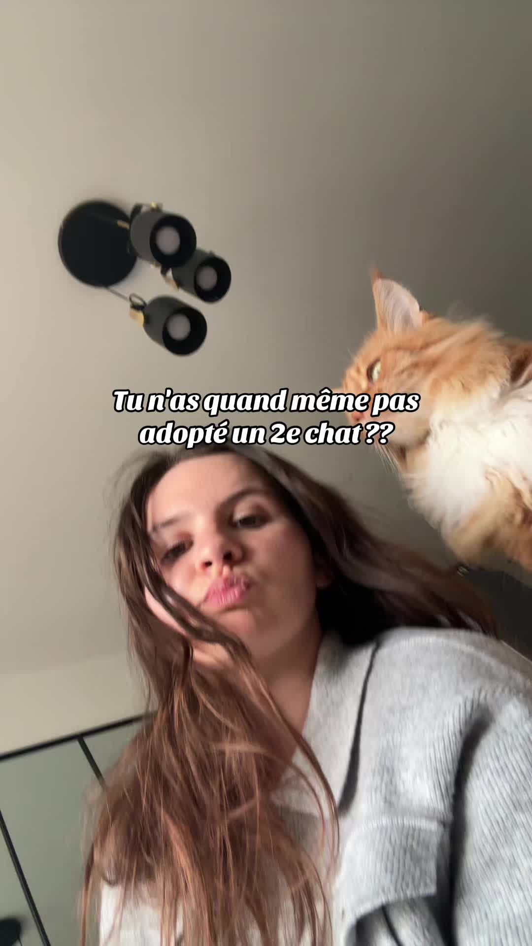 @meli.dass