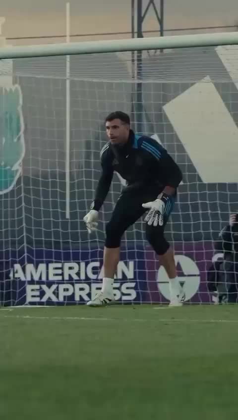 @Goalkeeping Development