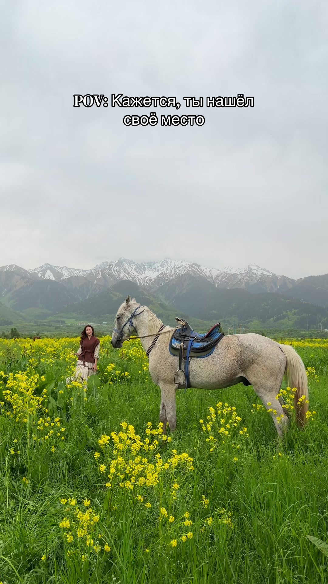 @tulpar_horses