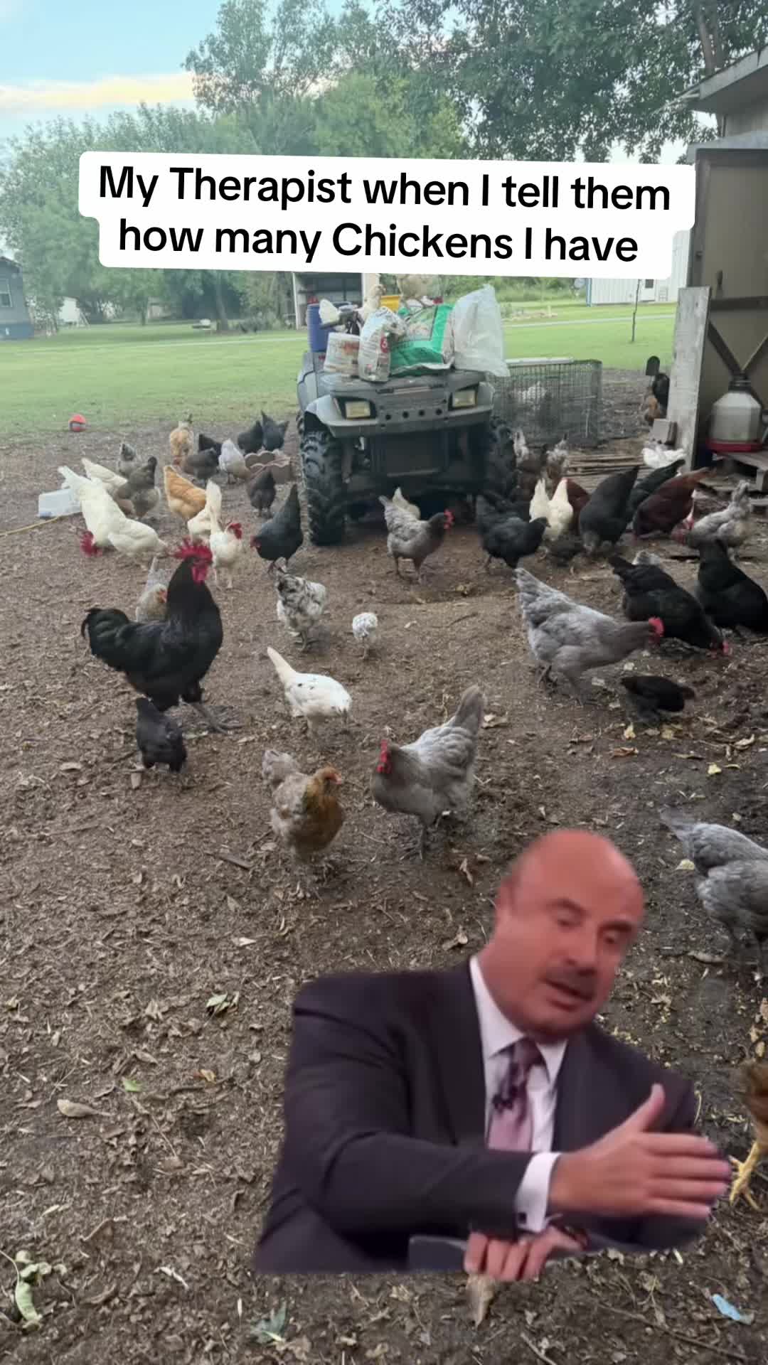 @NonniesFunnyFarm
