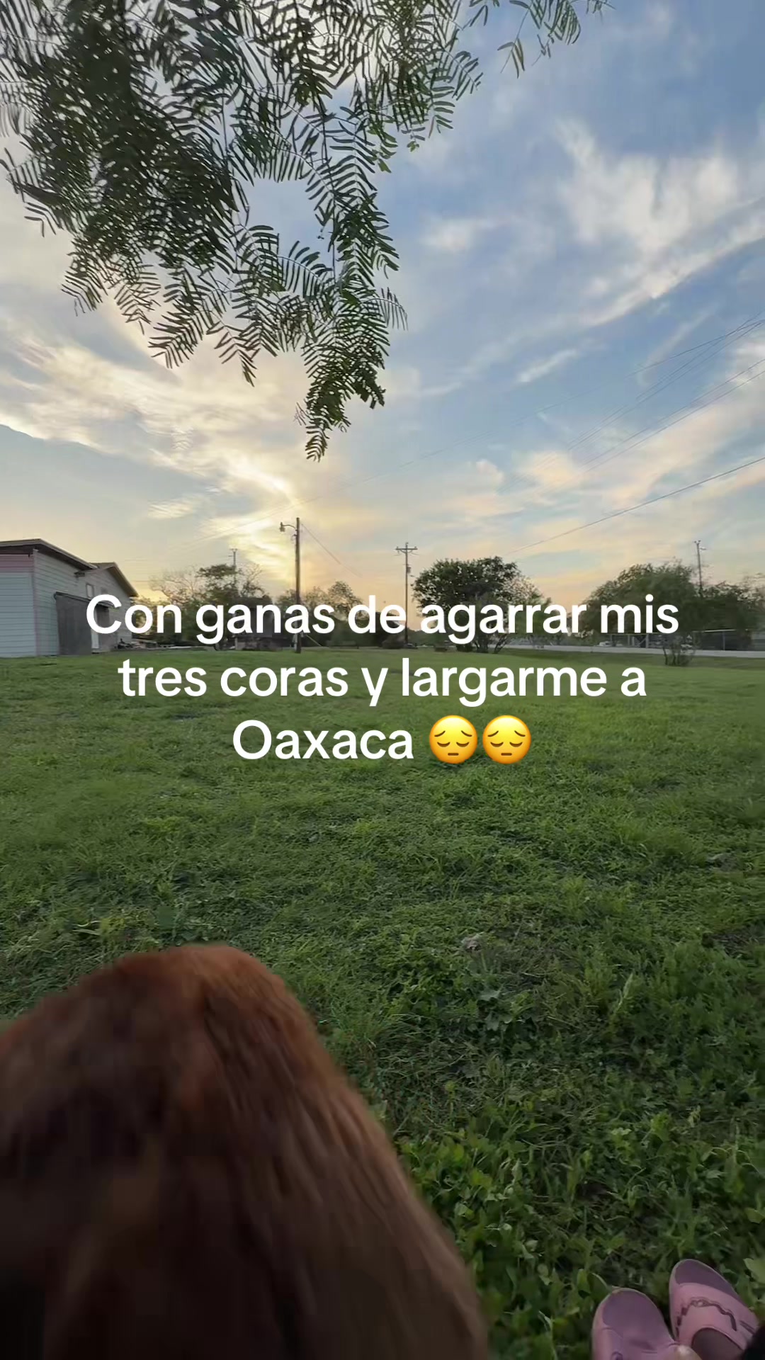 @Amada mía