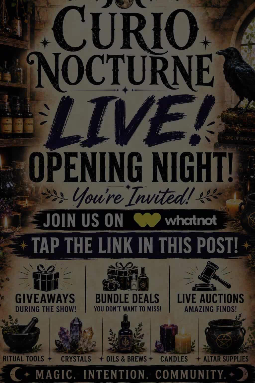 @Curio Nocturne