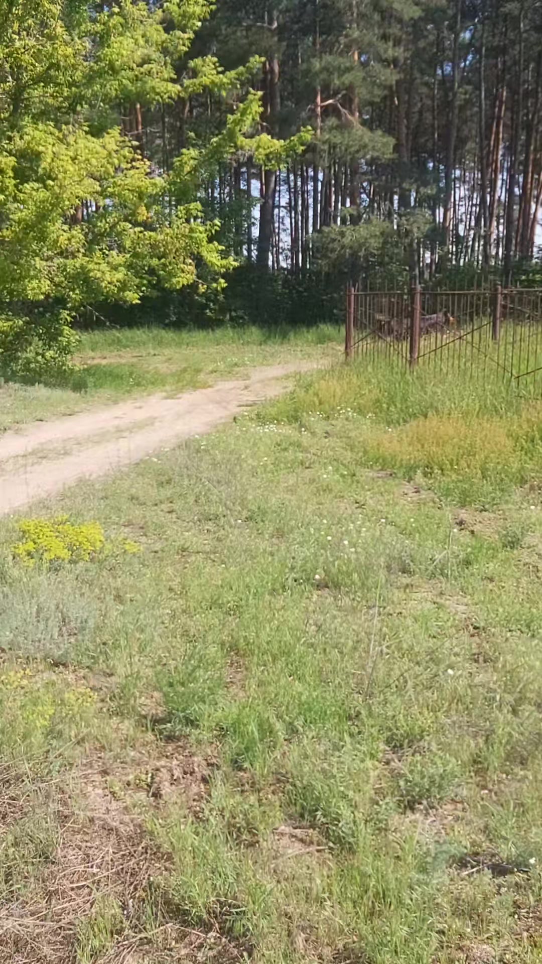 @alla