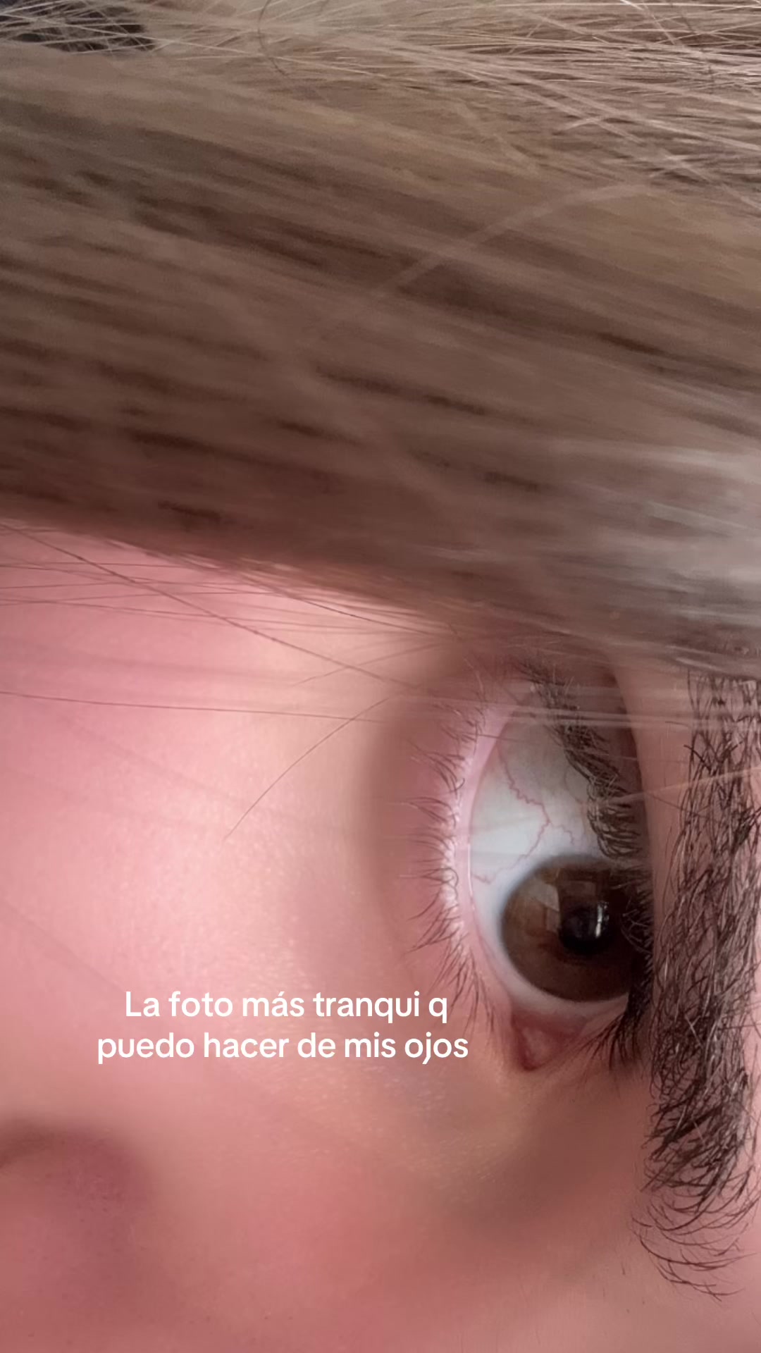 @sofialesk