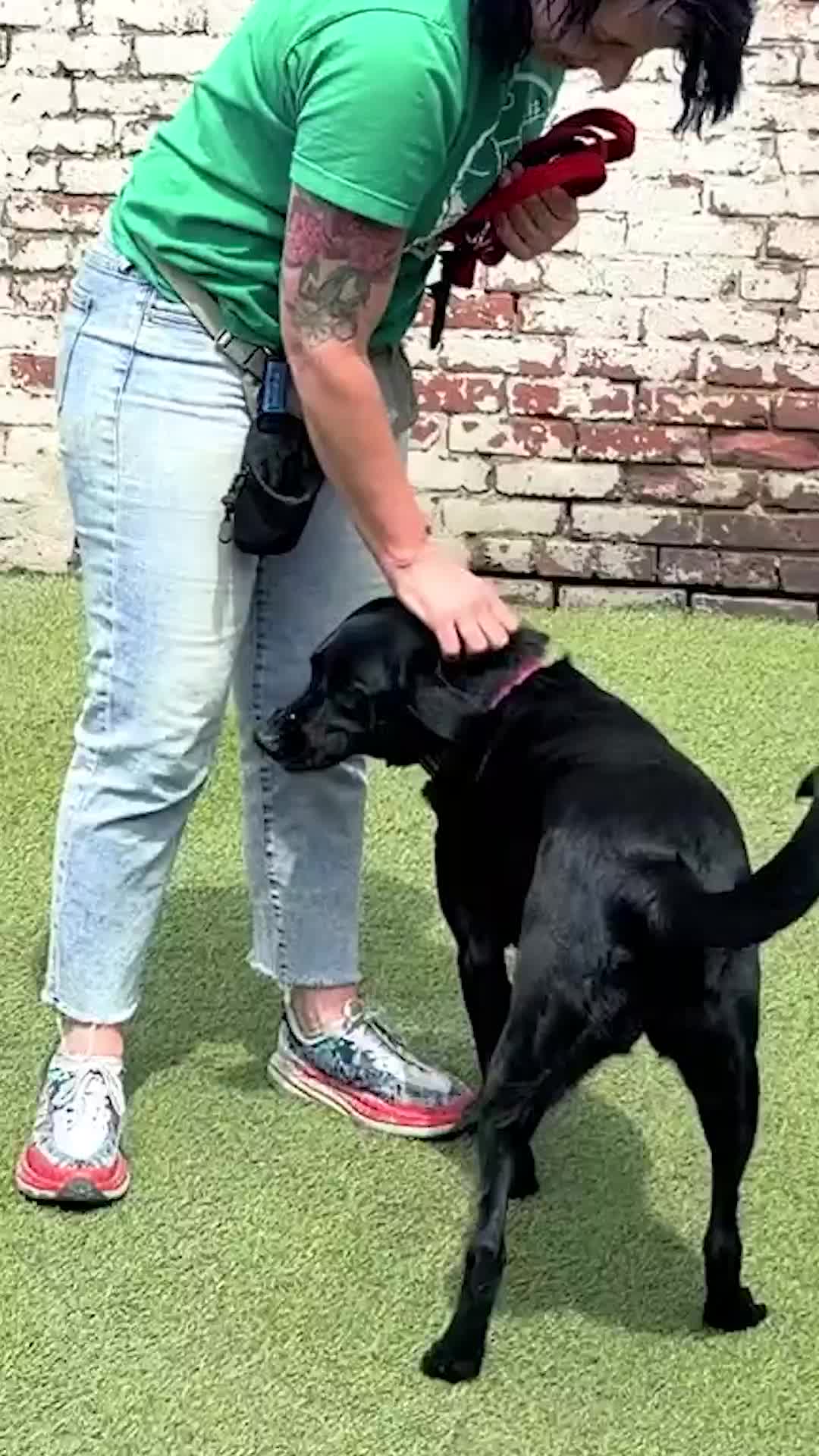 @Miracle K9 Training