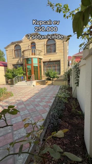 @vasif zeynalov