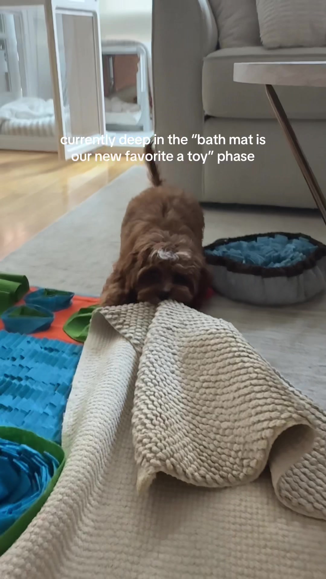 @lennie 🐶