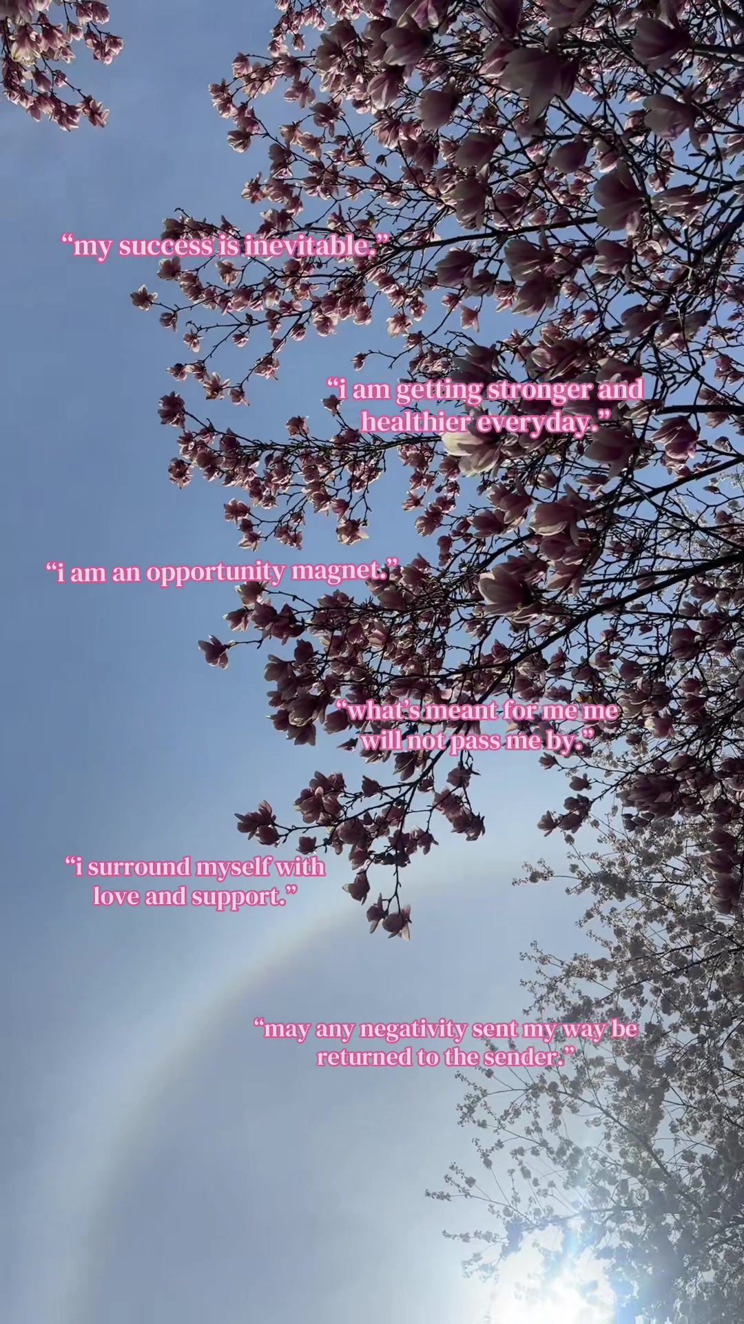 @shelbyyturner