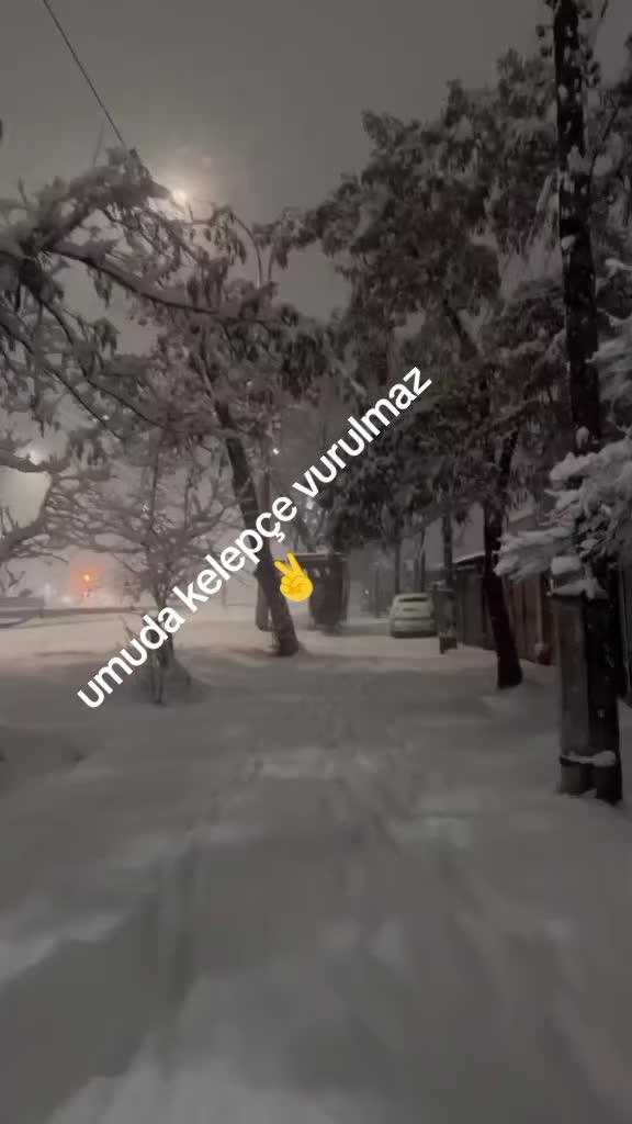 @ANKA KUŞU K&Uuml;LLERiNDEN DOĞUŞU