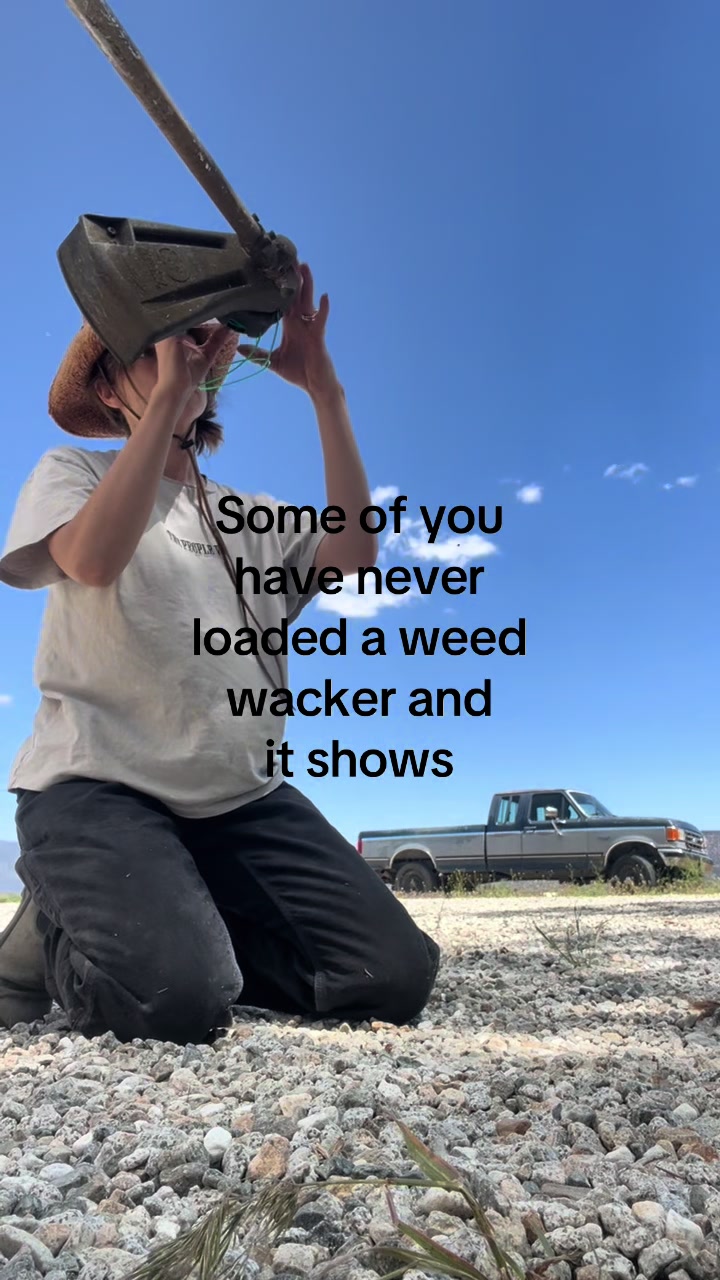 @L🪐LA