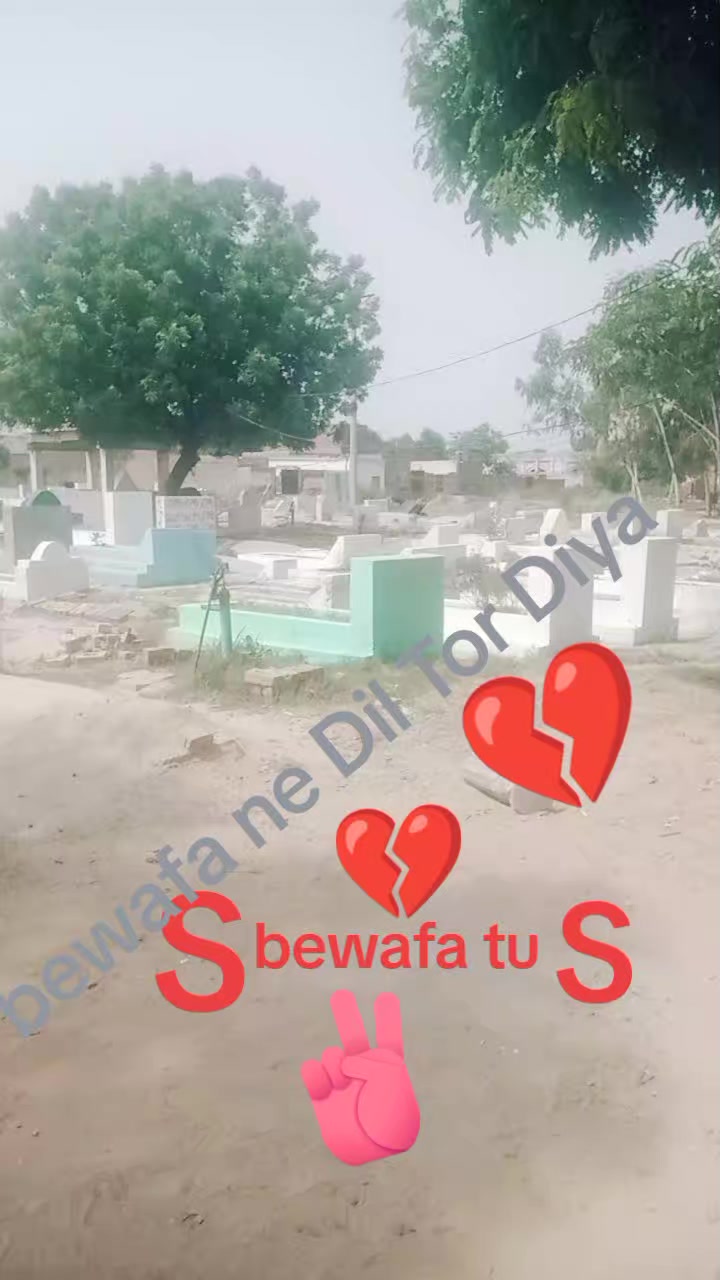 @jatt ✈️✈️ بے وفا تم ہو ن پڑھ