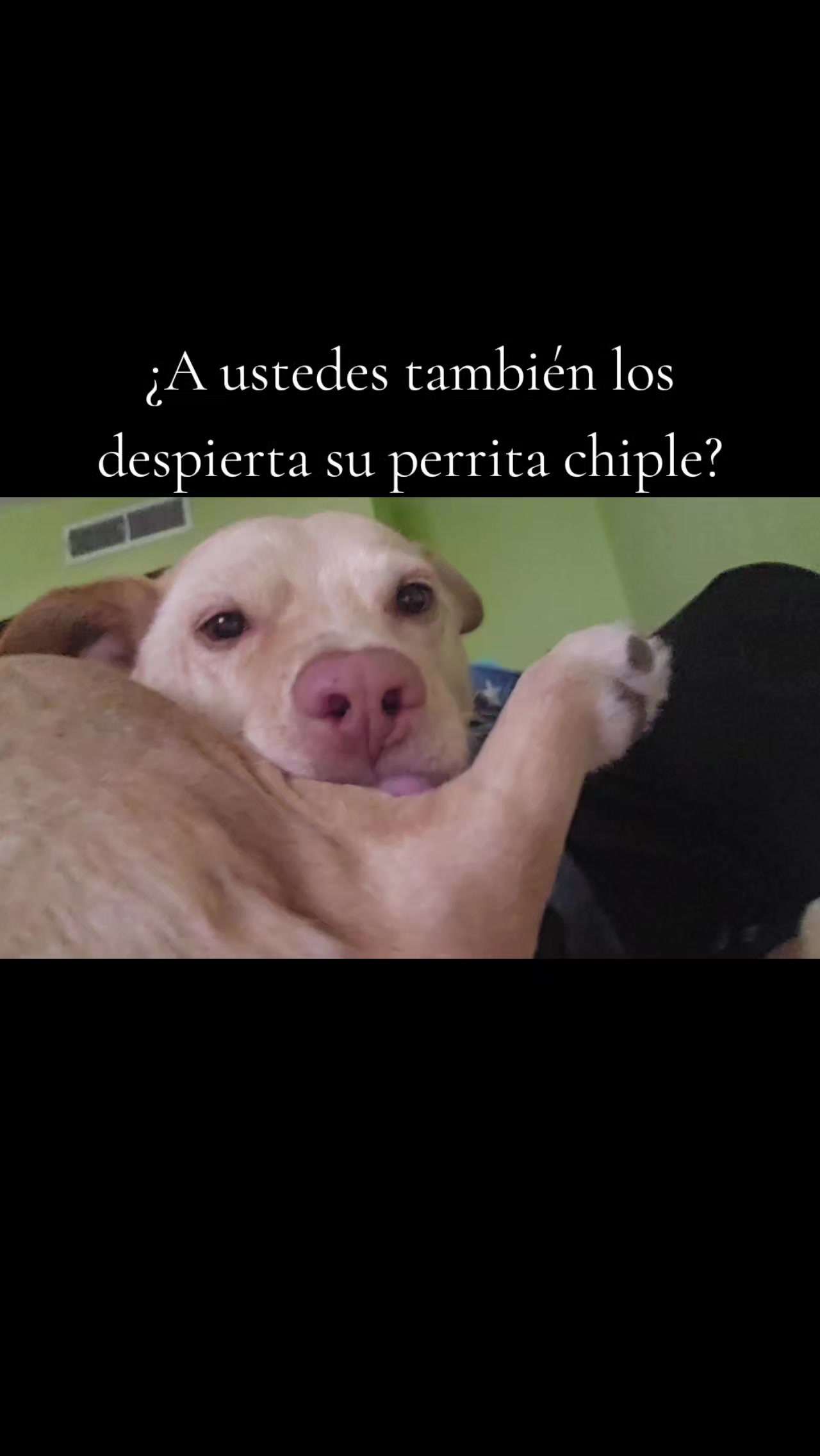 @Victoria Chacón