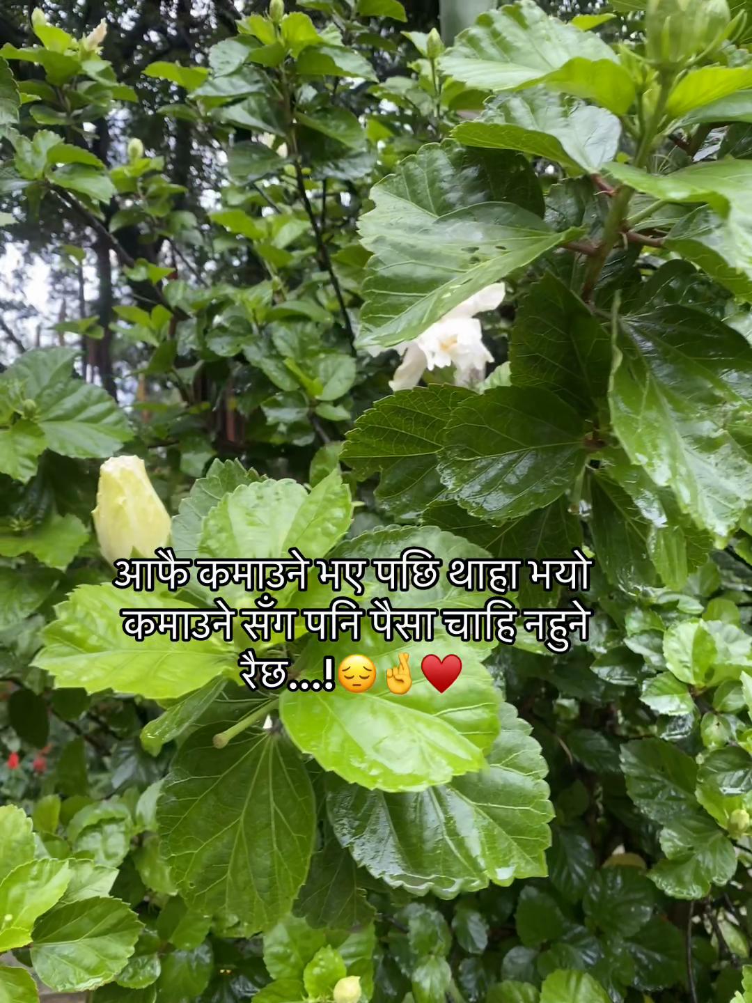 @Ms:Gurungni🫶❤️&zwj;🩹