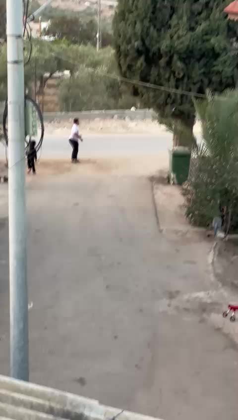 @فؤاد محاميد