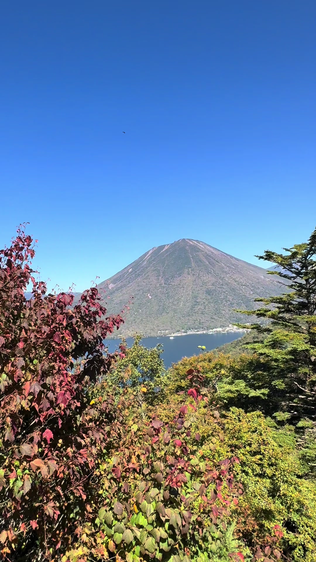 @Mylife inJapan
