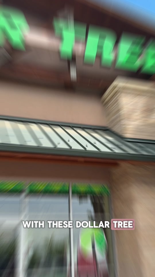 @Emma | Dollar Tree Home Hacks