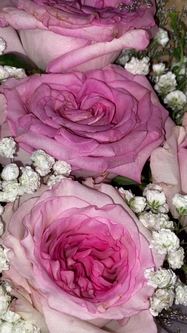 @🌹Rosieyy🌹