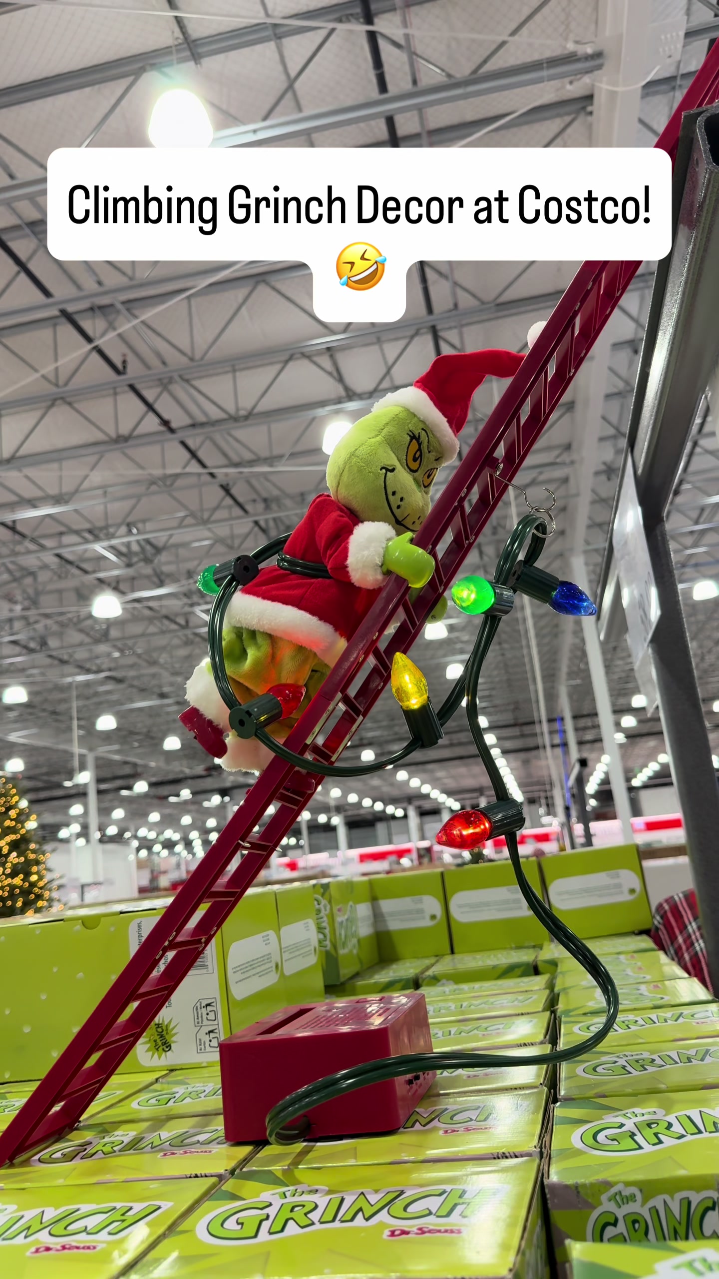 @CostcoHotFinds