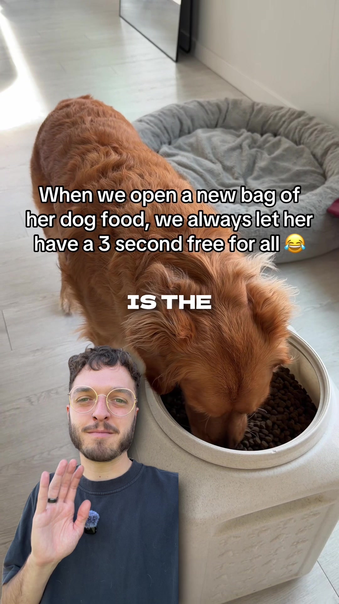 @The BK Pets - Dog Food Tips