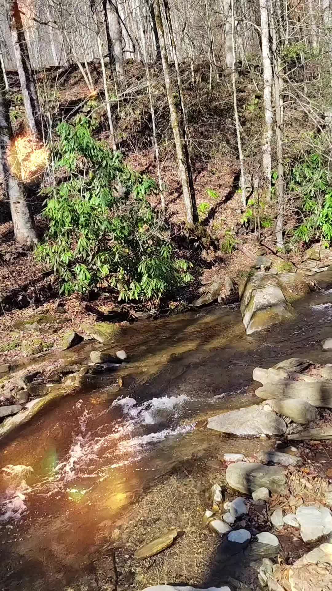 @wadeadventure