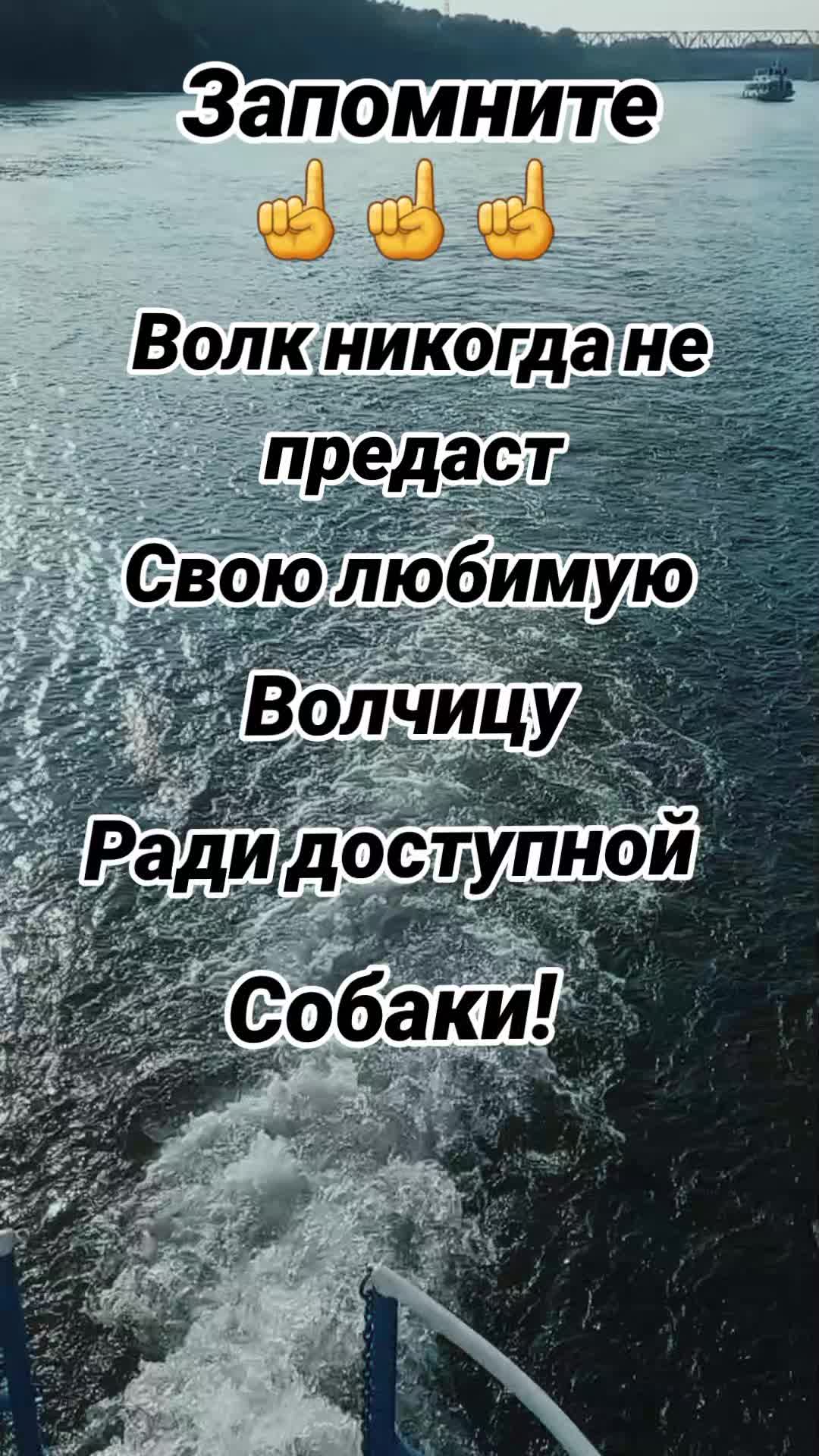 @ksy.sha77