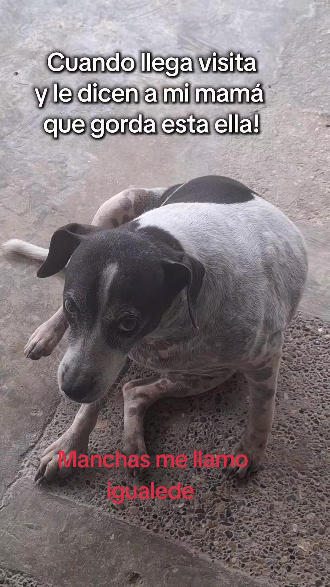 @MANCHAS 0714 OFICIAL