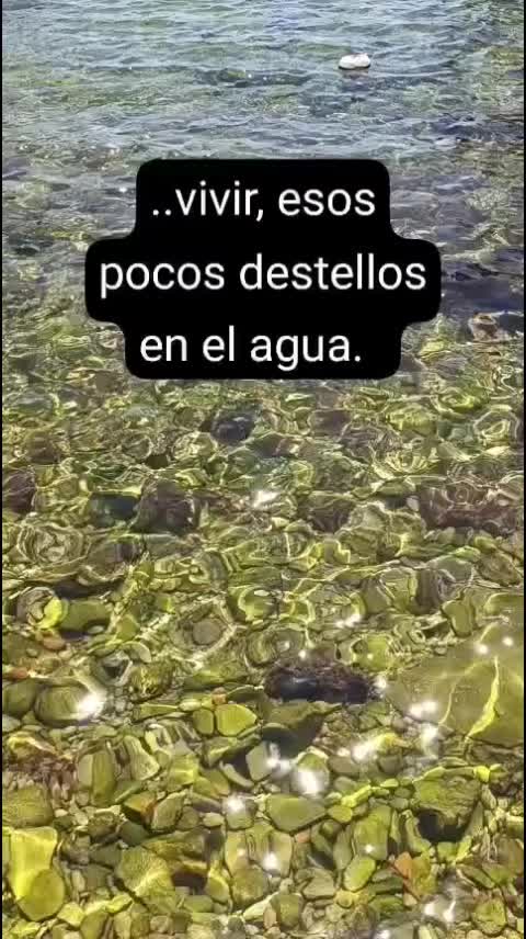 @JoseALuna