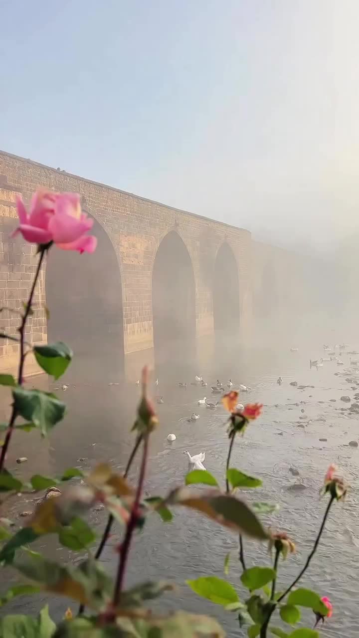 @𝓕𝓮𝓻𝓱𝓪𝓽"🕊️