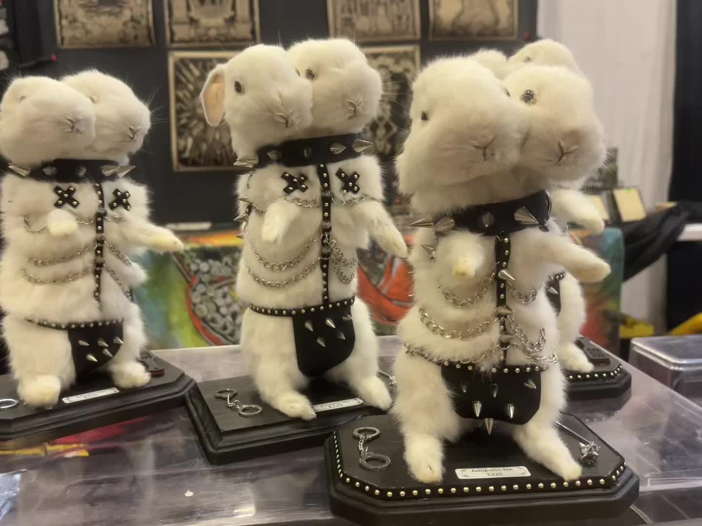 @Half Moon Crystals & Oddities