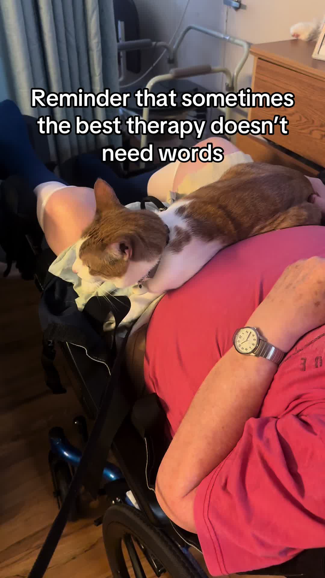 @Therapy Cat Roger & Family