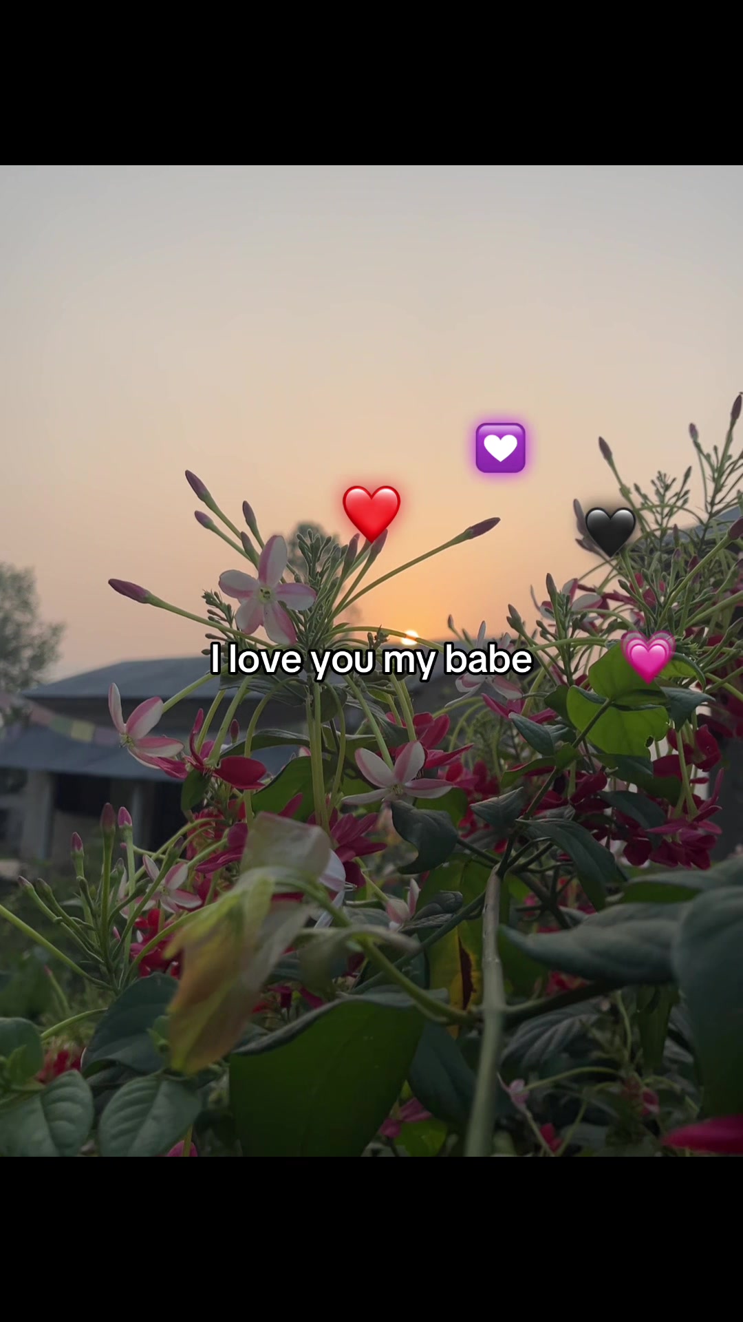 @Rohiteyyy