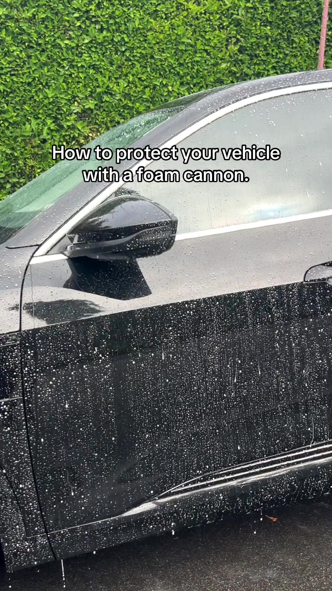 @gotdetail