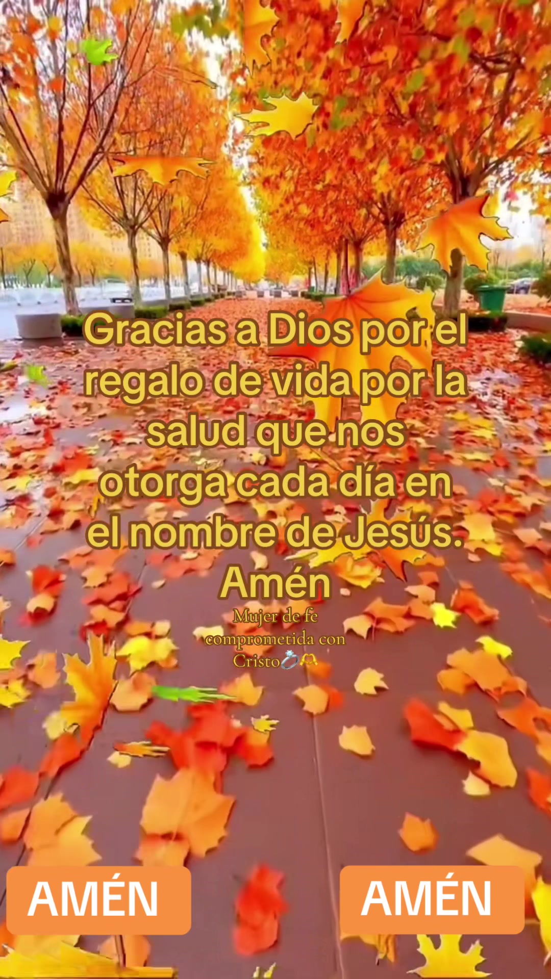 @𝓒𝓮𝓵𝓼𝓪💍📖🕊️