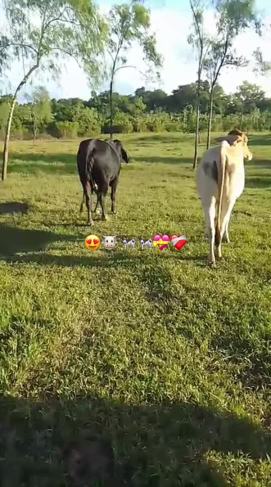 @Gaby herrera