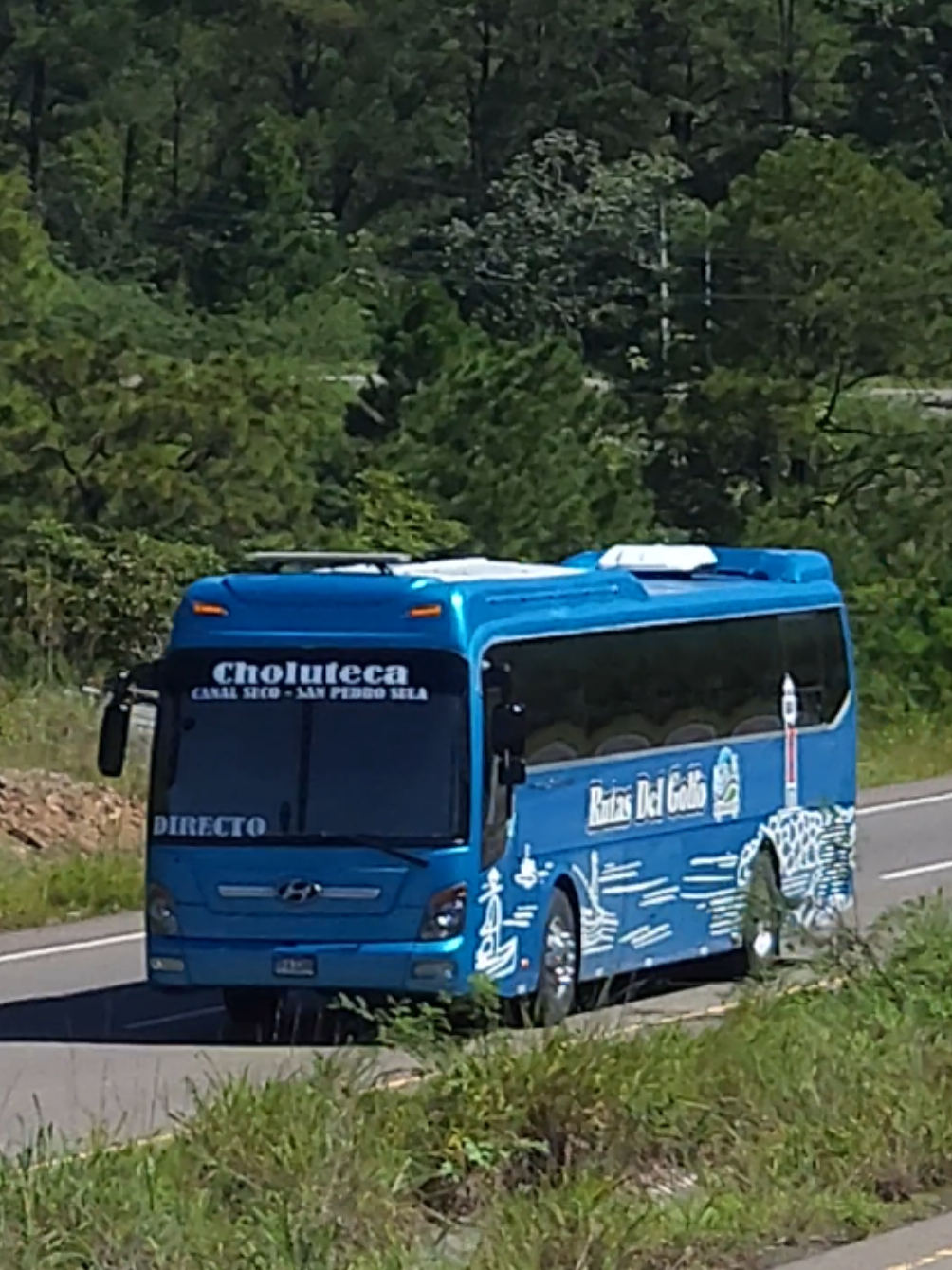 @BUSES FERMA_504 📸🇭🇳