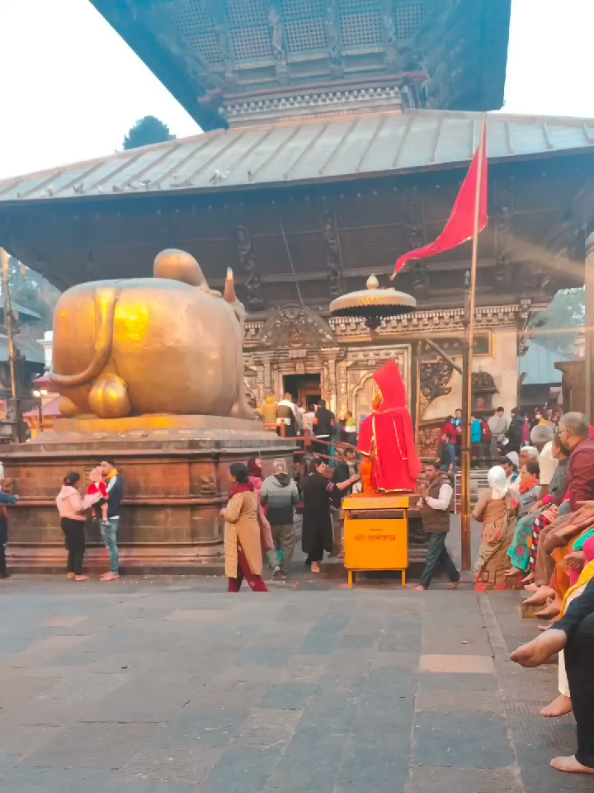 @Sanatan Ravi Shekhar