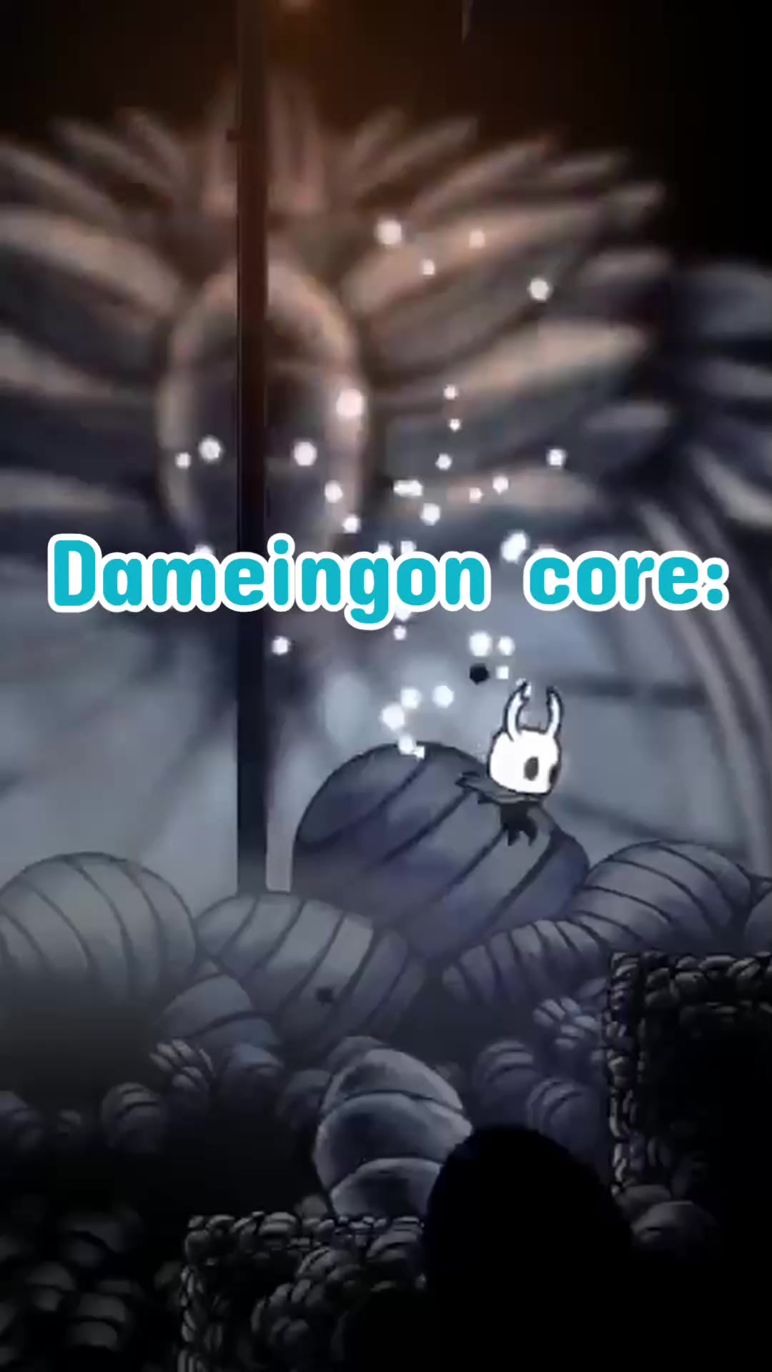 @Damien ☆