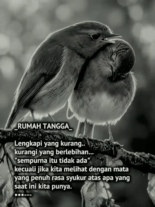 @Inisial WM