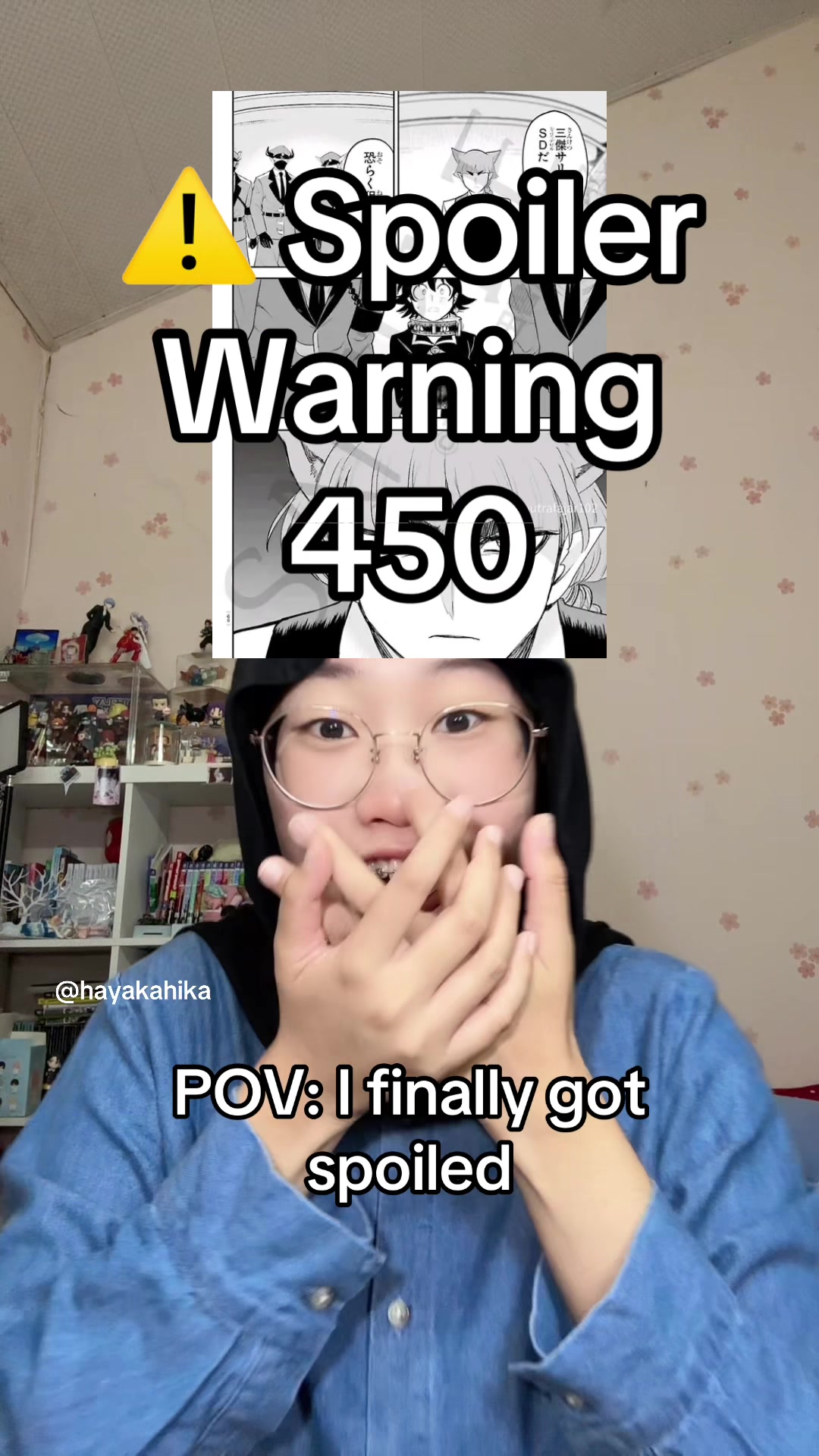 @hayakahika