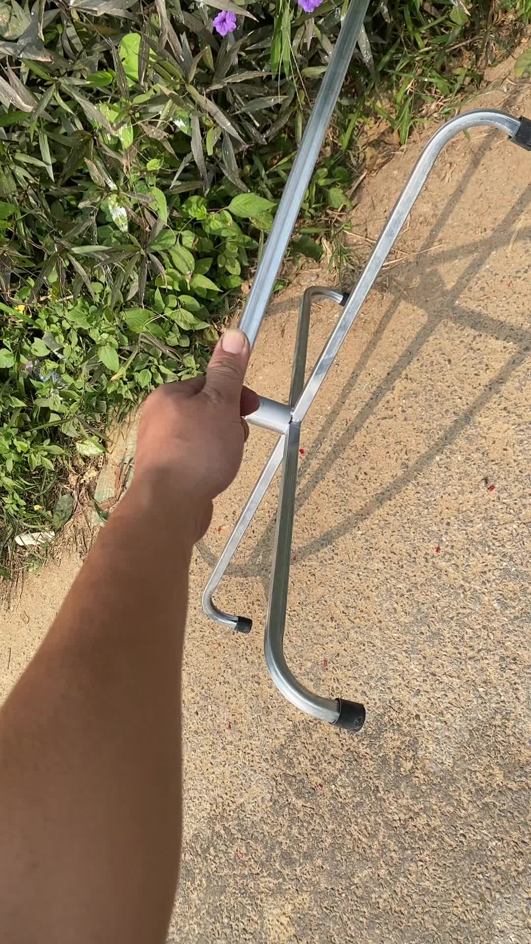 @Tập Lực G&agrave; Chọi -Avi Chim