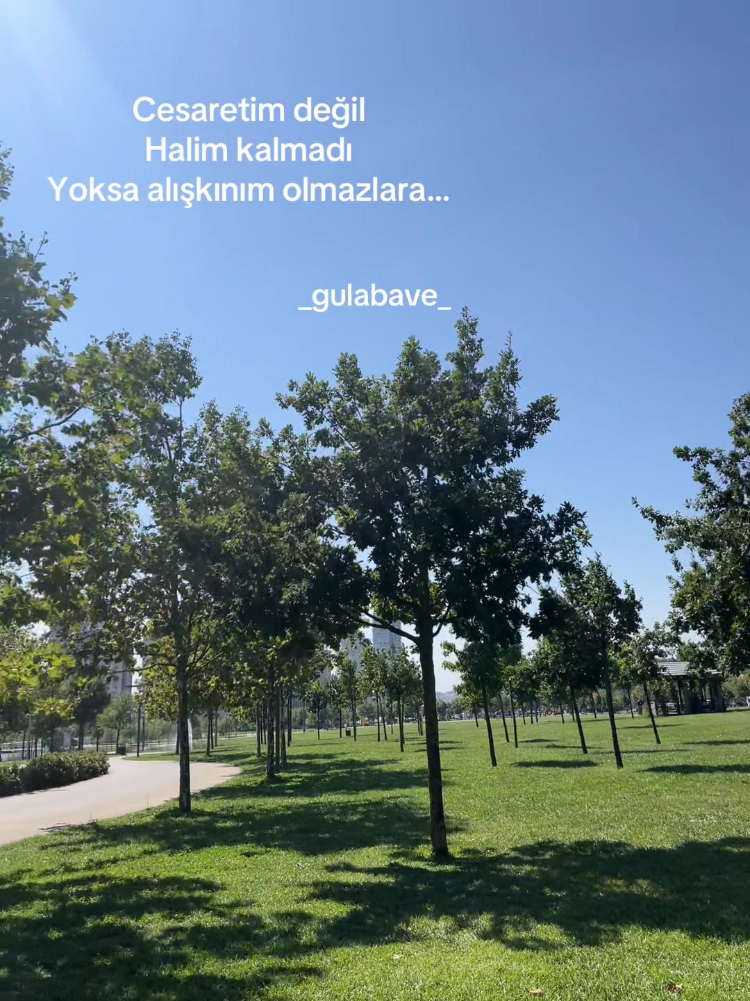 @Gulabave