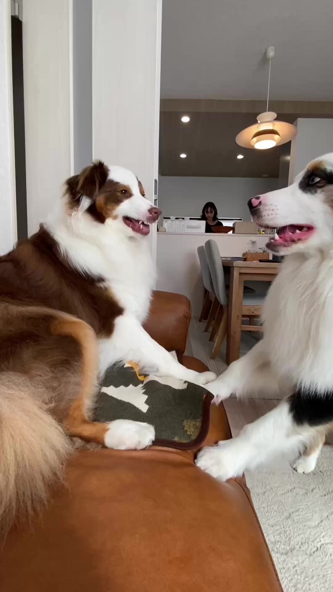 @サン&タマ
