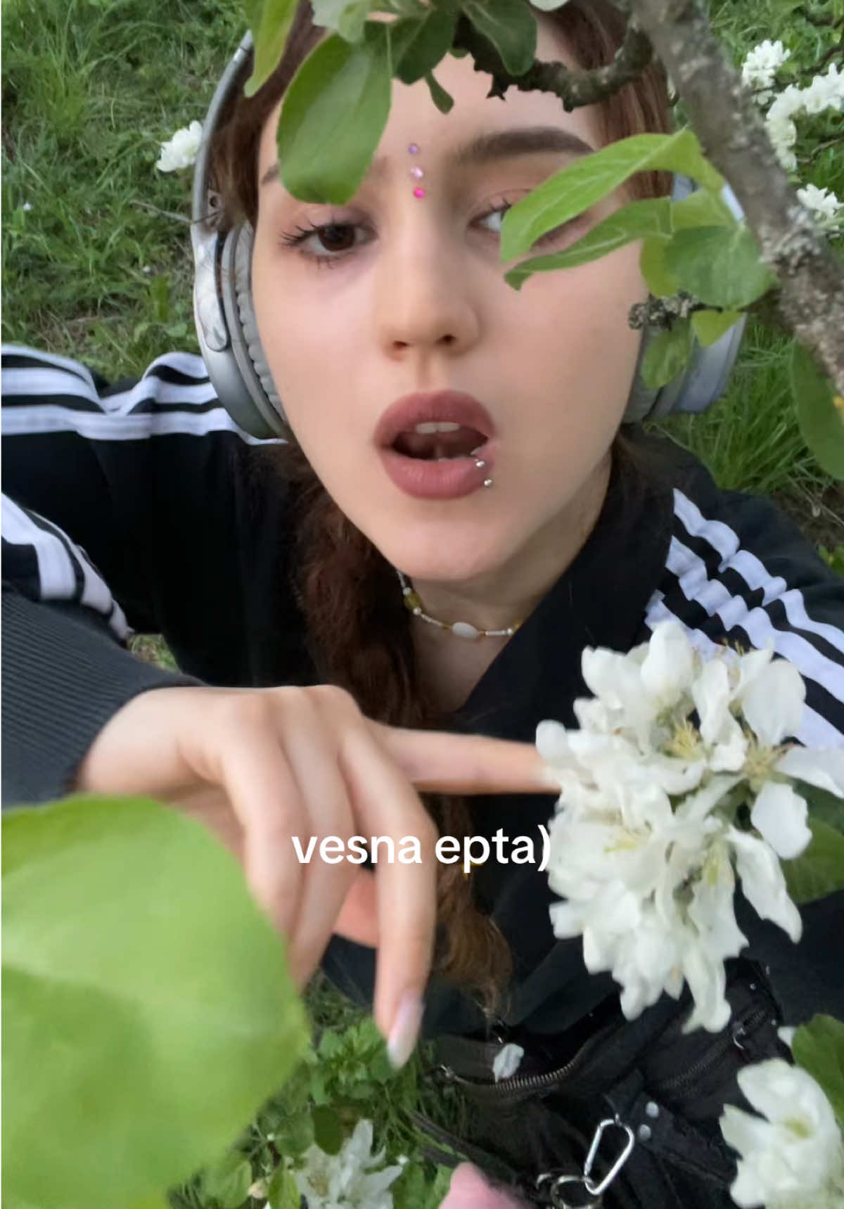 @Mi