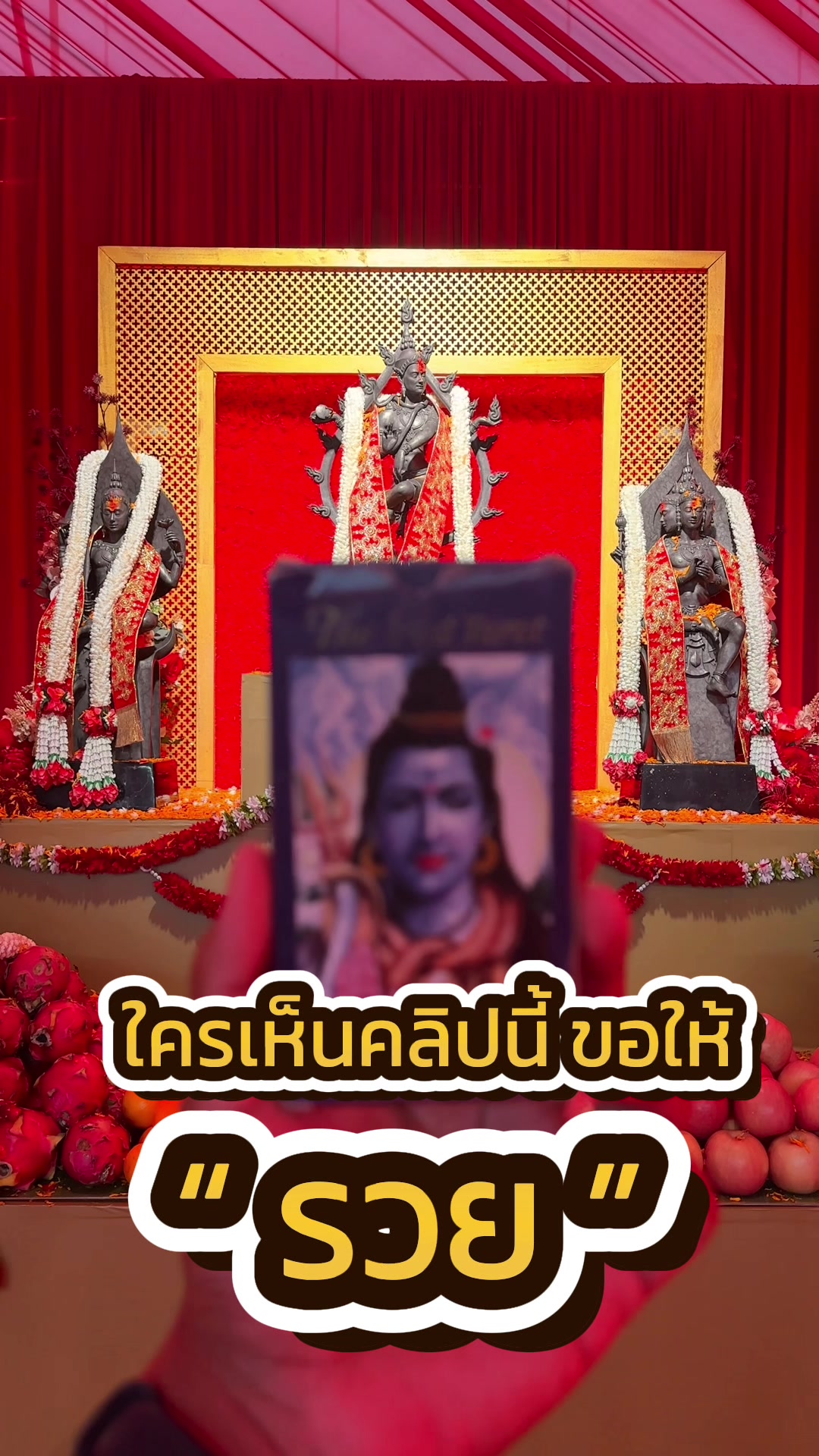 @นินจา “เปิดไพ่” ฮีลใจ 🕉️🌟