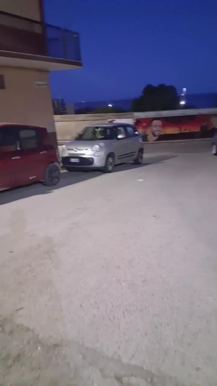 @Angelo Rinzivillo