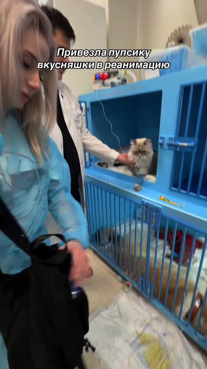 @Света Соллар